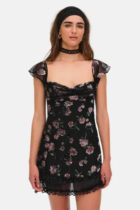 Aigrette Mini Dress Black