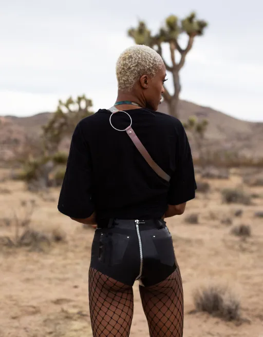 Ride Shorts