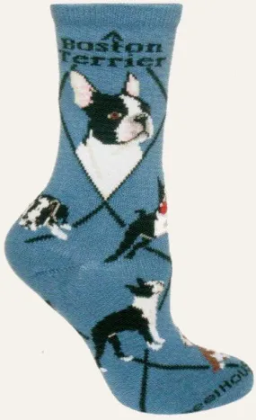 Wheel House Designs Boston Terrier On Blue Novelty Sock